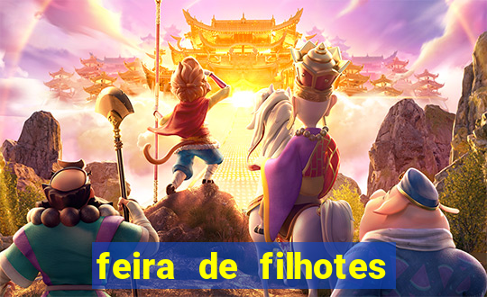 feira de filhotes porto alegre